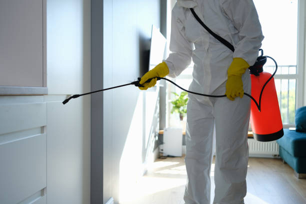 Best Residential Mold Removal  in Tyler, MN